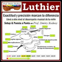 Violín Setup & Puesta A Punto Luthier - Prof. Dmitry Rodnoy segunda mano  Argentina