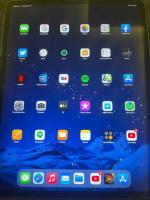 iPad Pro 12.9 Pulgadas - Impecable, usado segunda mano  Argentina