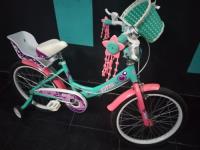 Bicicleta Gts R20 Con Canasta Rosa Y Rueditas Acero segunda mano  Argentina