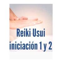 Iniciación Reiki Usui 1 , 2 ,3 O Sintonización Certificado segunda mano  Argentina