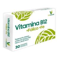 Vitamina B12 X 1000 Mcg + Fólico + Hierro Via Natural Vegano, usado segunda mano  Argentina