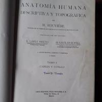 Usado, Anatomía Humana Descriptiva Y Topográfica -rouvière-3 Tomos segunda mano  Argentina