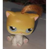 Little Pet Shop Hasbro Modelo 171 Shorthair Kitten segunda mano  Argentina