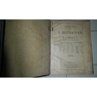 Beethoven Sonatas Para Piano, usado segunda mano  Argentina