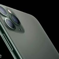 Celular iPhone 11 Pro 256 Gb Bat 100% Cargador 20w + Cable  segunda mano  Argentina