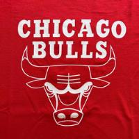 Remera Chicago Bulls Roja Moda Nba segunda mano  Argentina