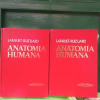 Anatomía Humana , usado segunda mano  Argentina