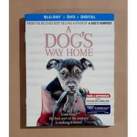 A Dog's Way Home ( Mis Huellas A Casa ) - Blu-ray Original segunda mano  Argentina