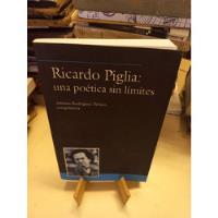 Ricardo Pigla Una Poética Sin Límites - Rodríguez Pérsico segunda mano  Argentina