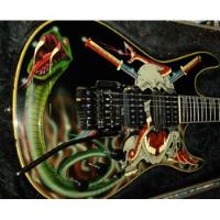 Guitarra Samick Skull Y Snakes No Jackson Ibanez Ltd , usado segunda mano  Argentina