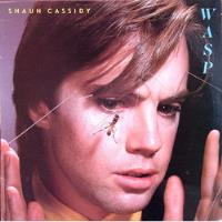 Shaun Cassidy - Wasp - Lp Made Usa Año 1980 segunda mano  Argentina