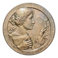 Antigua Medalla Centenario De La Independencia De Chile 1910 segunda mano  Argentina