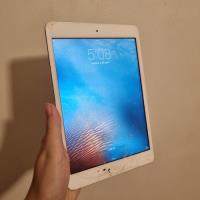 iPad Mini 1 Silver De 16gb Libre En Caja Sin Accesorios segunda mano  Argentina