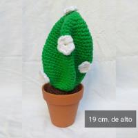 cactus tejidos crochet segunda mano  Argentina