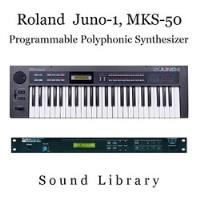 Sonidos Sysex Para Roland Juno 1, Juno 2, Mks50, Hs10, Hs80 segunda mano  Argentina