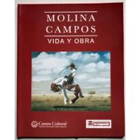 Molina Campos Vida Y Obra Ed. Universidad Católica 2007  segunda mano  Argentina