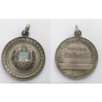 Medalla Malteria Y Cerveceria De Cuyo-trofeo Andes-esmaltada segunda mano  Argentina