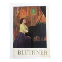 Folleto Pianos Julius Blüthner, usado segunda mano  Argentina