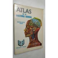 Atlas De La Anatomía Humana Alejandro Lanoel Ed Betina 1986 segunda mano  Argentina