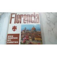 Guía Completa Florencia Cuna Del Arte Fotos E Info Excelente, usado segunda mano  Argentina