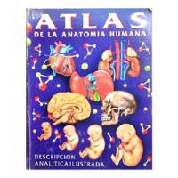Atlas De La Anatomía Humana - Alejandro Lanoël ( Escolar ) segunda mano  Argentina
