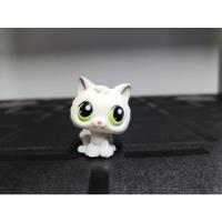 Kitten Cat #100 - Authentic Littlest Pet Shop - Hasbro Lps segunda mano  Argentina