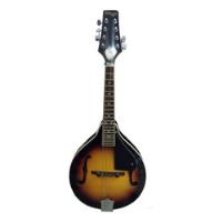 mandolina cuerdas segunda mano  Argentina