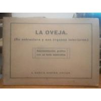 La Oveja - A. Garcia Santos (edi) segunda mano  Argentina