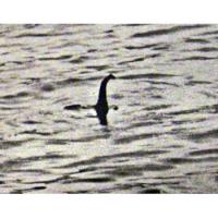 Rupert Gould The Loch Ness Monster And Others segunda mano  Argentina