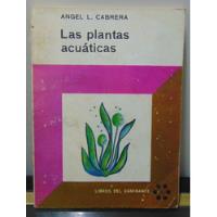 Adp Las Plantas Acuáticas Angel L. Cabrera / Ed. Eudeba 1964 segunda mano  Argentina