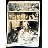 Antiguas Fotos Cine Triunfo De Tarzan Lobby Card - Germanes segunda mano  Argentina