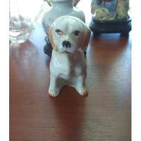 Antigua Figura Perro Beagle De Porcelana Bone China Taiwan  segunda mano  Argentina
