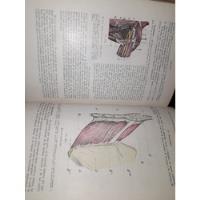 Tratado De Anatomía Humana - 4 Tomos -testut Y Latarjet-1954, usado segunda mano  Argentina