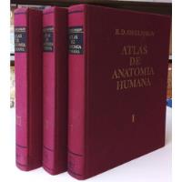Atlas De Anatomía Humana, Tres Tomos - Sinelnikov - T. Dura  segunda mano  Argentina