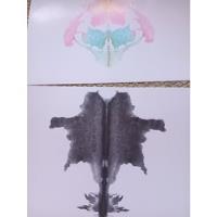 Láminas Test De Rorschach Para Práctica Universitaria, usado segunda mano  Argentina