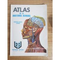 Atlas De La Anatomía Humana, Editorial Betina segunda mano  Argentina