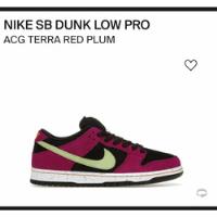  Nike Dunk Sb Usado segunda mano  Argentina