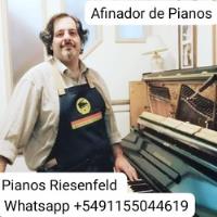 Afinador De Pianos Profesional. segunda mano  Argentina