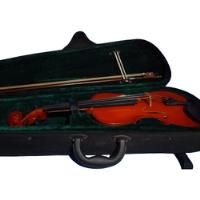 Violin Acústico 1/2 Para Principiantes segunda mano  Argentina