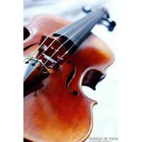 Violin Luthier Puccini Año 2001 Profesional segunda mano  Argentina