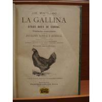 José Montellano / La Gallina Y Otras Aves De Corral / 1901 segunda mano  Palermo