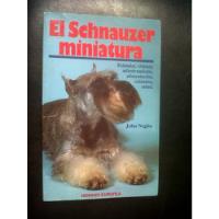 Schnauzer En Miniatura- John Negho segunda mano  Argentina