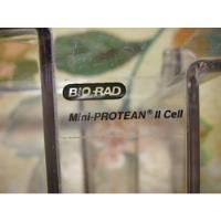 Bio-rad Mini Protean 2 Cell   - Deposito De Acrilico segunda mano  Argentina